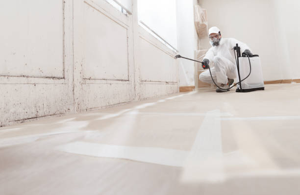 24/7 Emergency Mold Inspection experts in Middletown, NJ