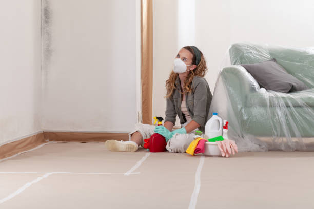Reliable Mold Remediation contractor in Middletown, NJ by Cheap Mold Removal